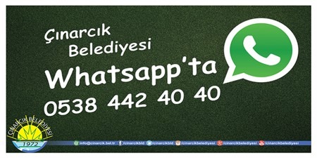 Whatsapp Hattı Devrede