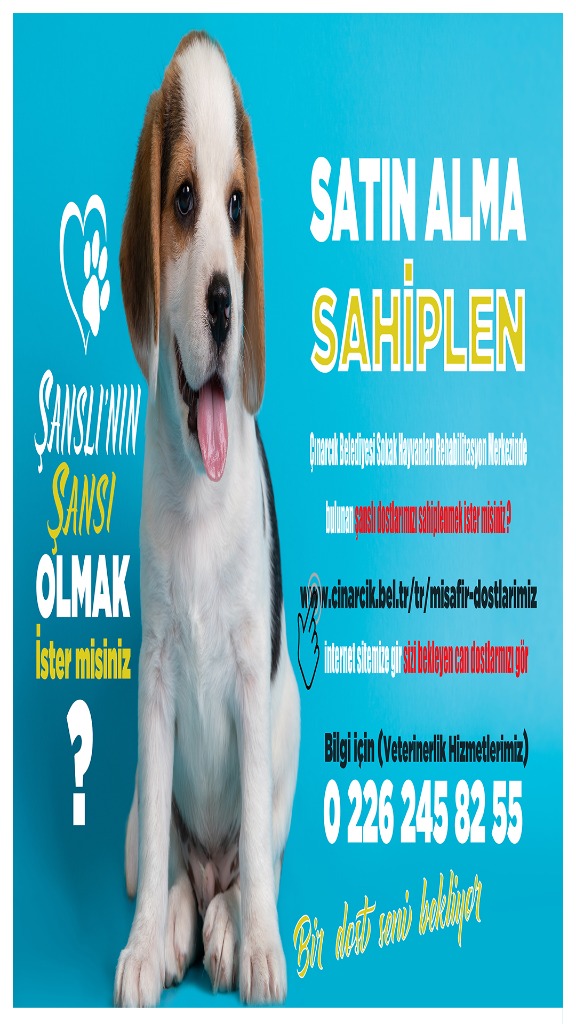 Satın Alma Sahiplen