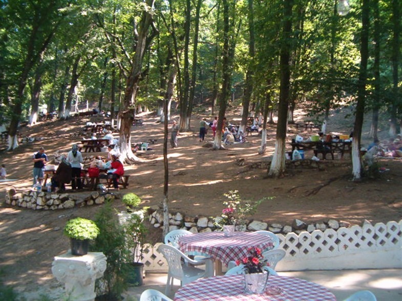 Hasanbaba Piknik Alanı
