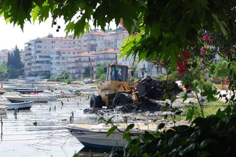 Liman İçi Temizliği Yapıldı