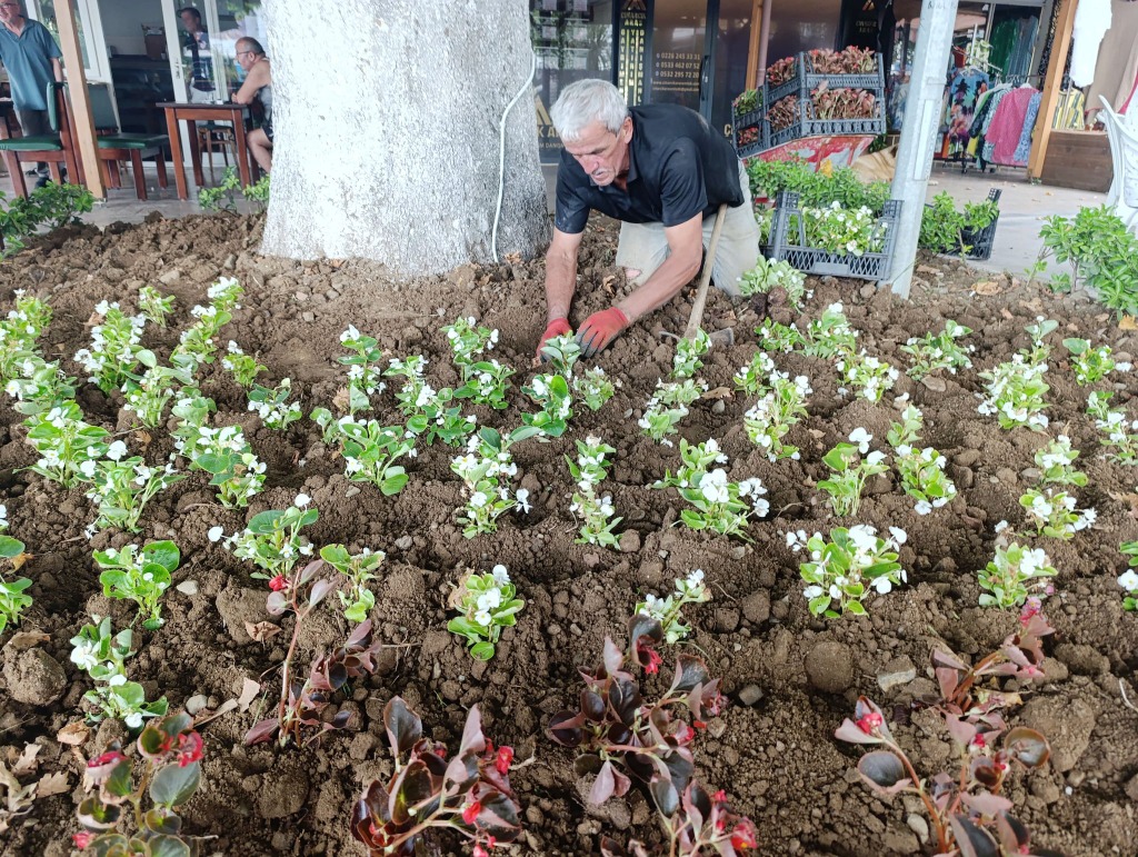 Ata Park Çiçeklendi