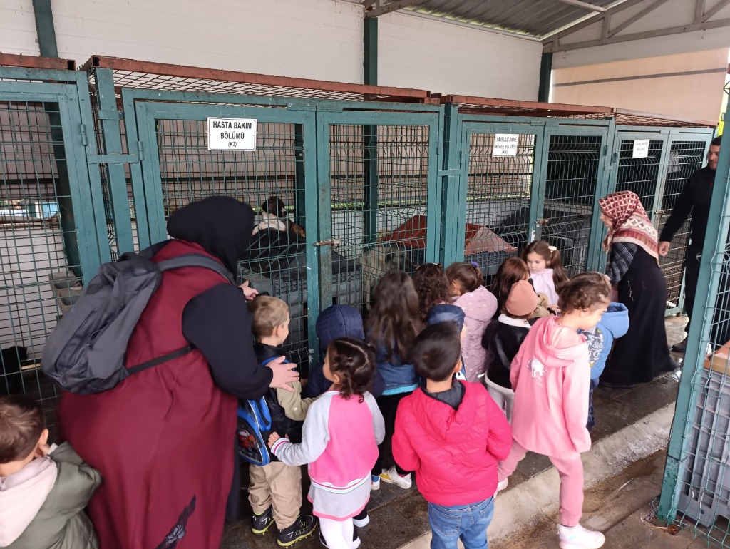 Beyaz Zambak Kreşi Öğrencilerinden Patili Dostlarımıza Ziyaret