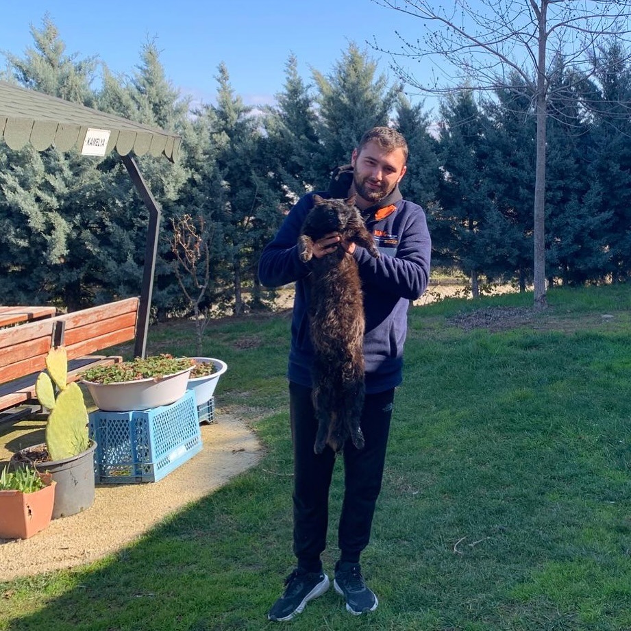 Patili Dostlarımızı Sahiplendirmeye Devam Ediyoruz