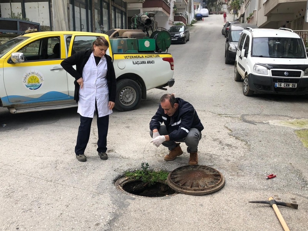 İlçe Genelinde Ekiplerimiz Vektörle Mücadele Çalışması Yaptı