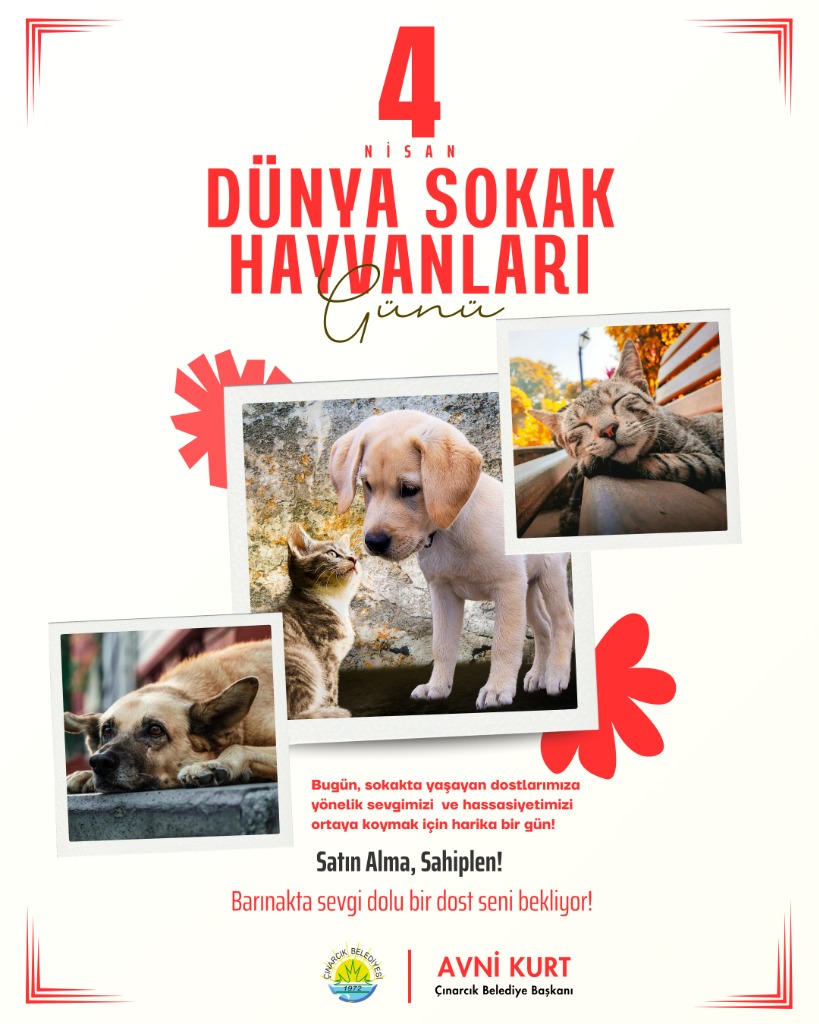 Başkanımız Avni Kurt'un 4 Nisan Sokak Hayvanları Günü Mesajı